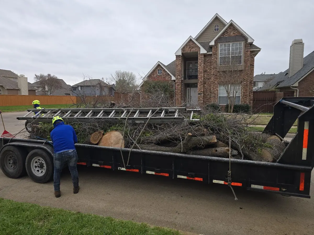Expert Tree Pest Control with proper safety equipment in Wysox